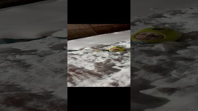 19-01-2025