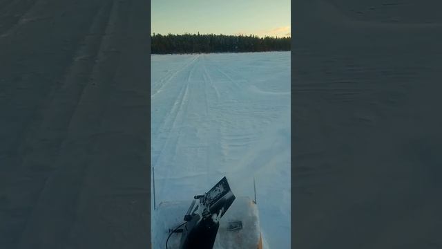 Готовим идеальную трассу для катаний на упряжке хаски.