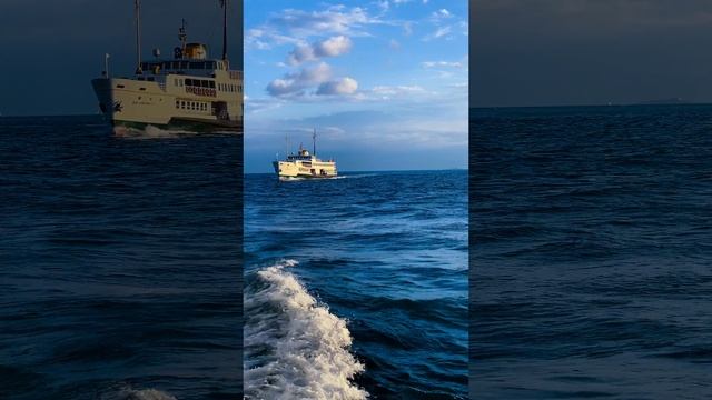 15183716-uhd_2160_3840_60fps