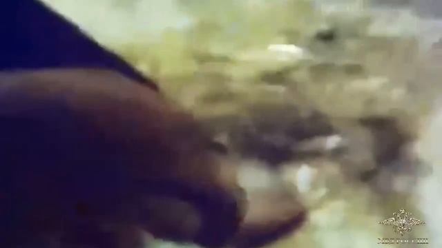 В Санкт-Петербурге полицейские проводят проверку в отношении водителя иномарки, нарушившего ПДД