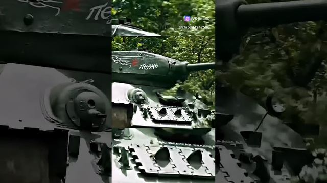 1000008195.mp4