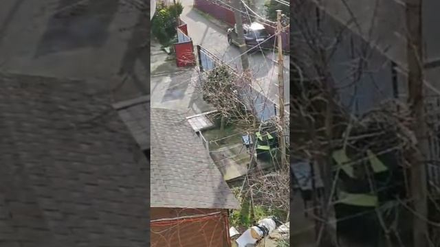 отдых в Абхазии сдаю жильё пиши ватсап+79281232217 Ната