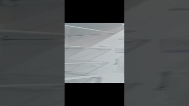1000005442.mp4