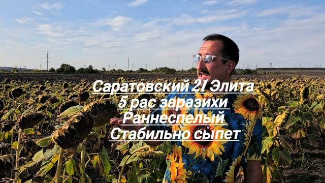 Саратовский 21Элита