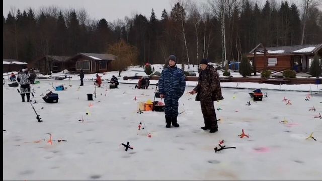 Обзор клева на запуске