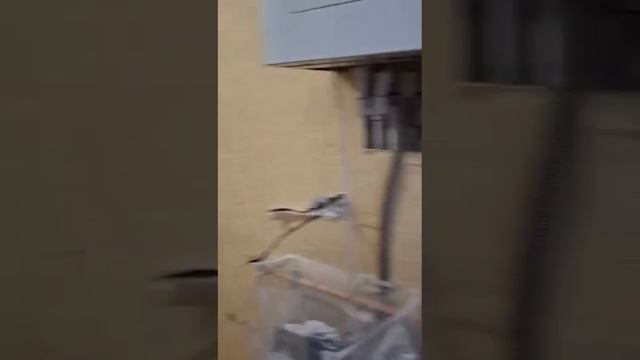 Полная замена электропроводки на кухне.
