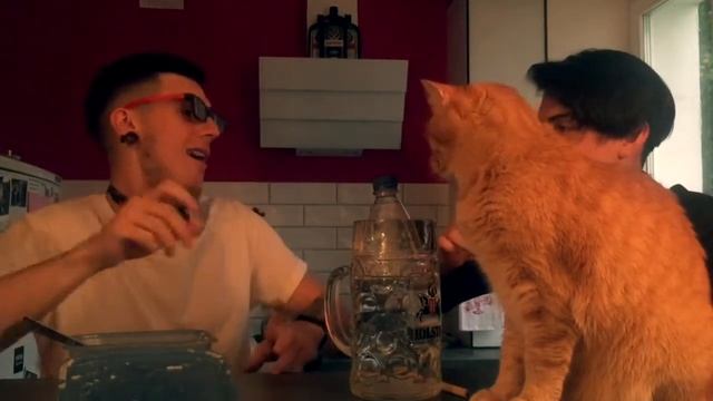 Интервью с Рахимом Мамирговым из ансамбля "Давай Гавно!"