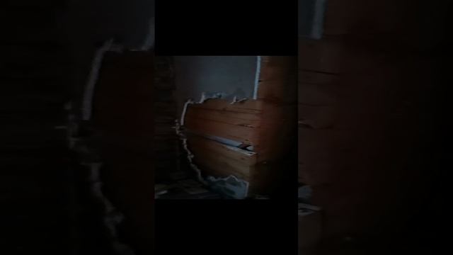 1000018163.mp4