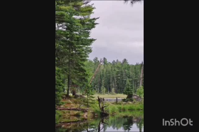 Тайга сл. Якушев Н. В.