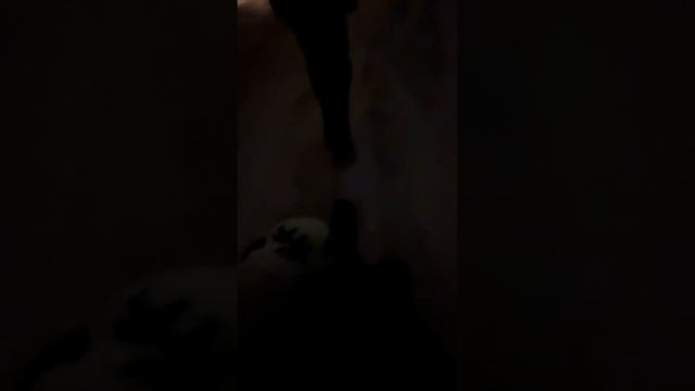 Ничего на свете лучше не-е-ту🌠