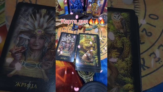 Карта дня🔥🔥🔥#таро #taro #tarot #shorts