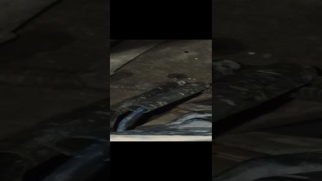 провода подключения вентилятора, охлаждения двигателя.