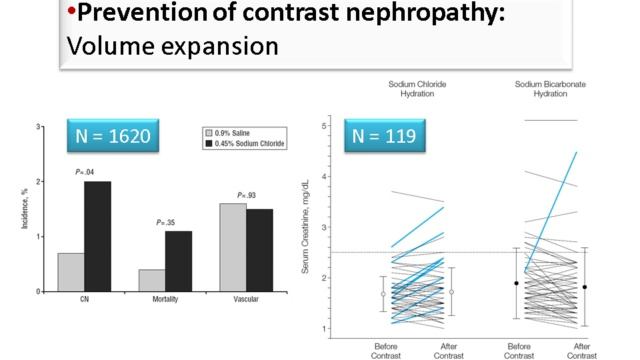 Prevention of contrast-induced nephropathy (Lion AKI  2012)