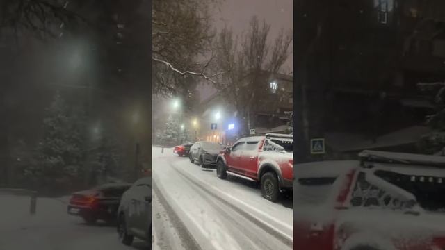 времена года