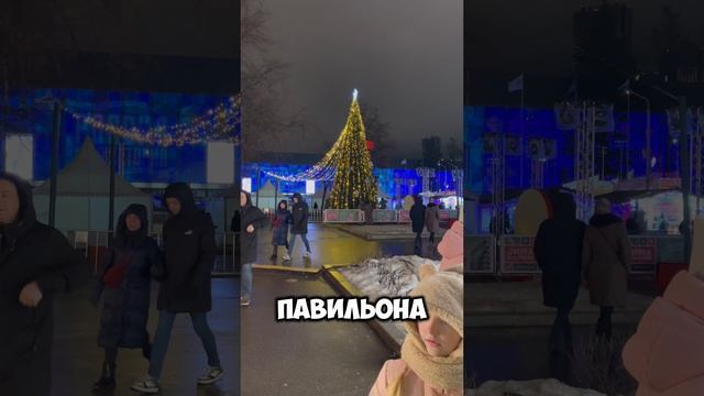 2-е января 2025 на ВДНХ #новыйгод #вднх #прогулка