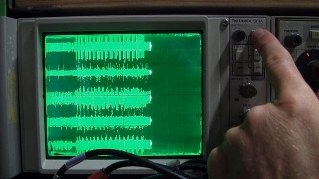 Spontaneous activity in the isolated leech nervous system