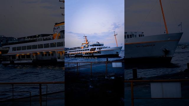 15183725-uhd_2160_3840_60fps