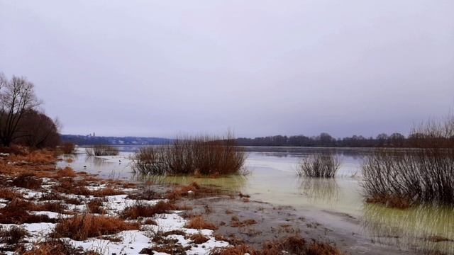 18-01-2025 утренняя прогулка на реку на Крещенский сочельник