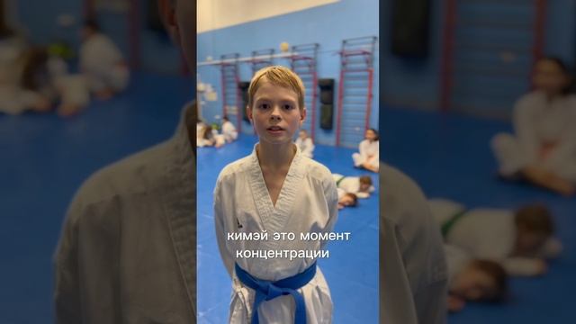 Ответ на теоретическую часть экзамена на 4 кю.
Понятие кимэ и киай