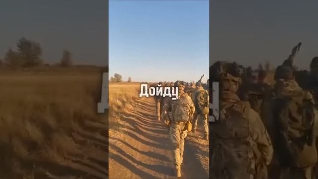 Военный Канал