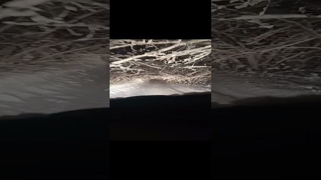 Путь в неизвестность 🤗🥶