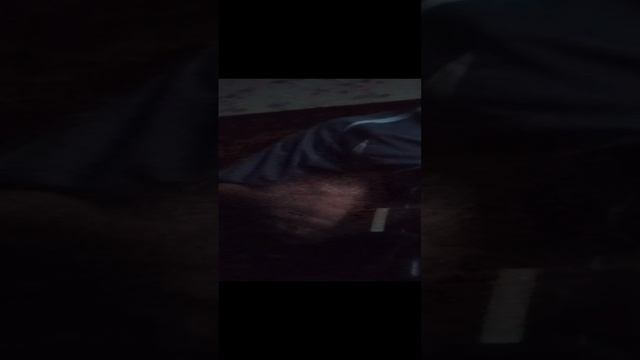 Сектор Газа 🎸кавер🎸 случай про жим жим🎸