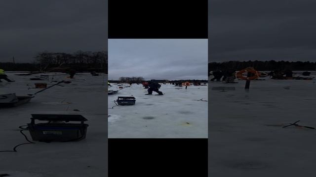 Поимка форели на резину