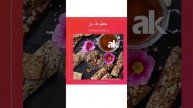 Cereal Bar Line خط انتاج شريط الحبوب#shorts