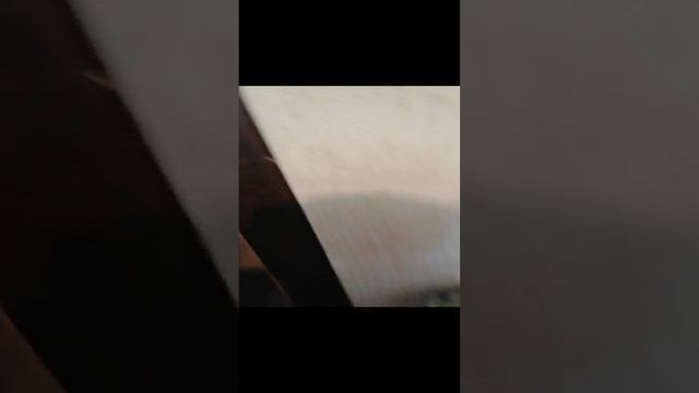 Воет вьюга в Липецке
