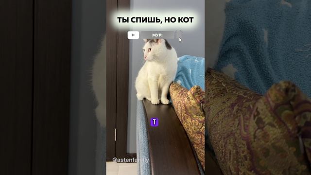 Ты спишь