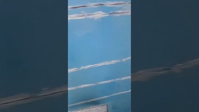 1000012884.mp4