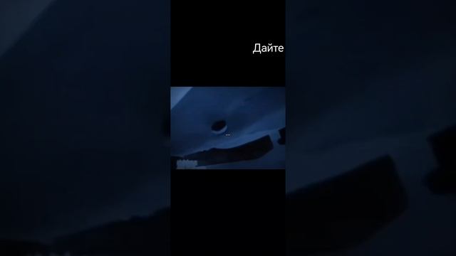 Типичные акулы 🦈