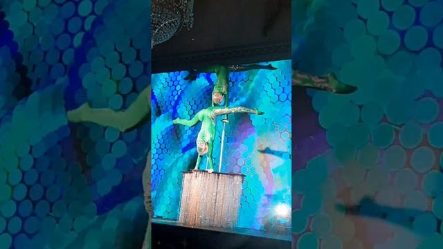 Змейки на елках в Константиновском дворце
#казанцеввшоу