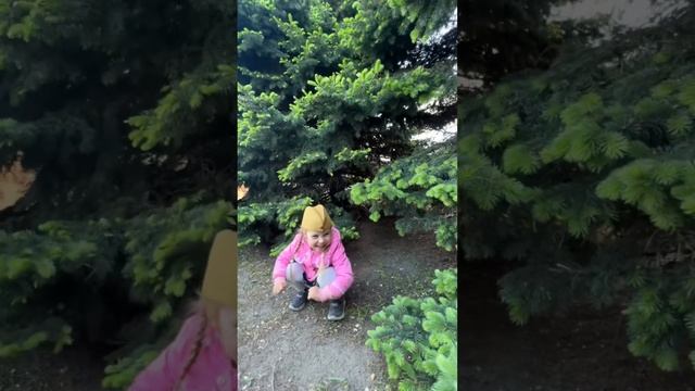 День Победы 2024. Мы помним!