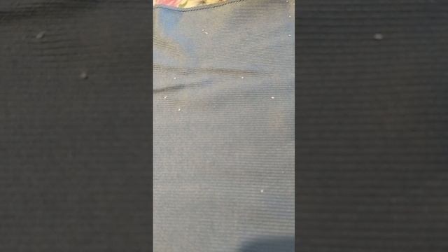 1000605293.mp4