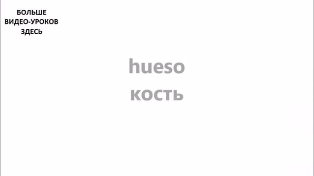 ИСПАНСКИЙ ЯЗЫК. СЛОВАРЬ ПО ТЕМАМ. АНАТОМИЯ