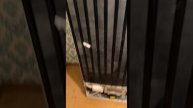 ✅Ремонт Холодильника Indesit с системой No Frost✅