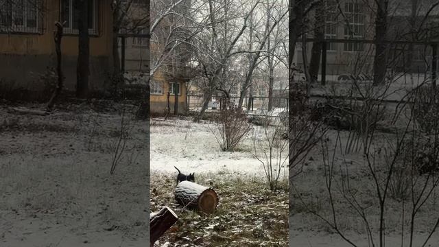 Наслаждаемся настоящей зимой в Донецке ❄️