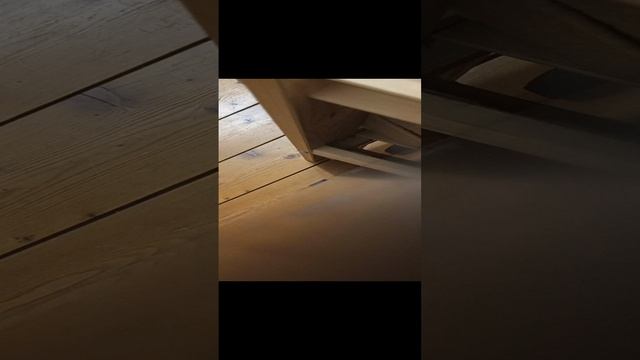 1000051884.mp4