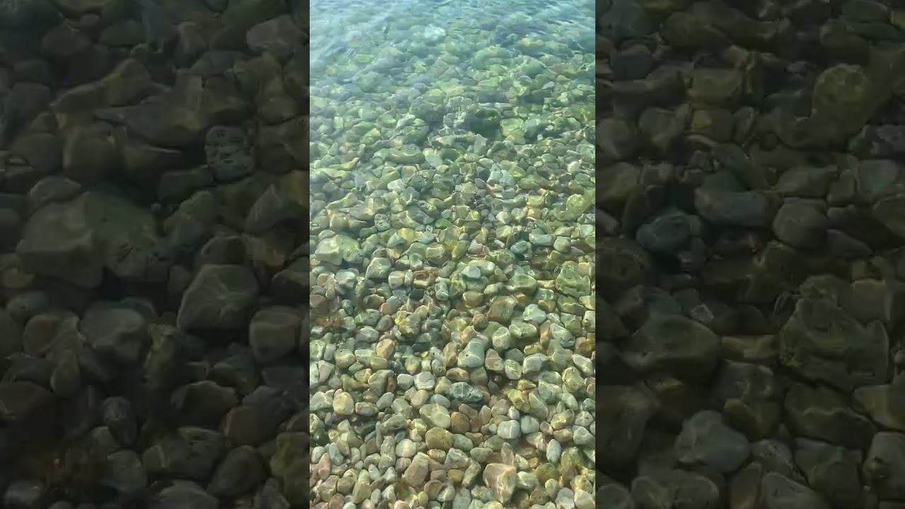 Морское дно на мелководье с Солнечными зайчиками, небольшой ветер #sea #beach #nature