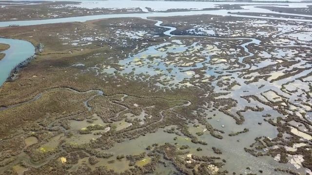 Laguna di Venezia (Malcontenta)