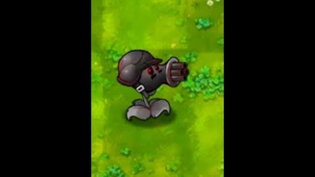 Королевские гибриды фьюшен мода