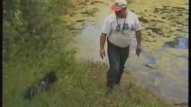 Обучение подаче с воды. Дрессировка щенка . 2020