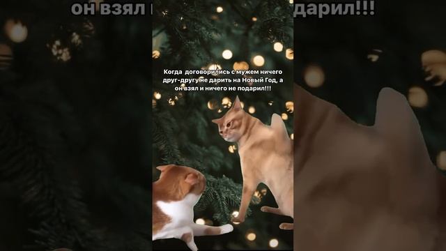 Когда сказала, что дарить ничего не нужно, а он взял и не подарил!