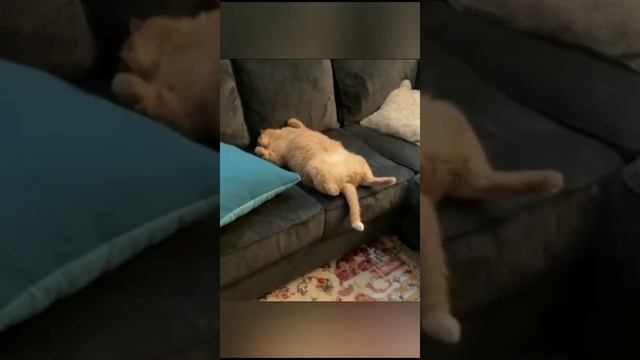 отдыхаю и прочее