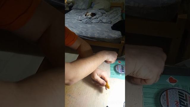 Ремонт чëток быстро и надолго!!!