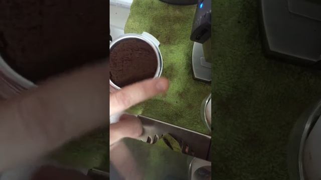 Redbird jaguar espresso
