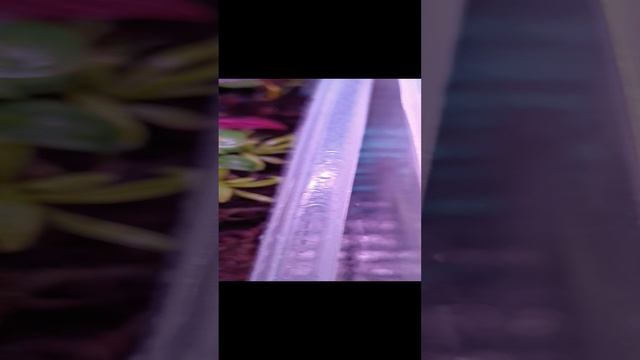 1000076556.mp4 Январь 2025 г