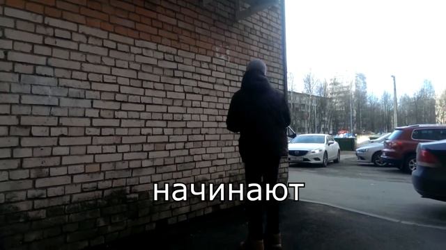 Шаверма патруль от Сани