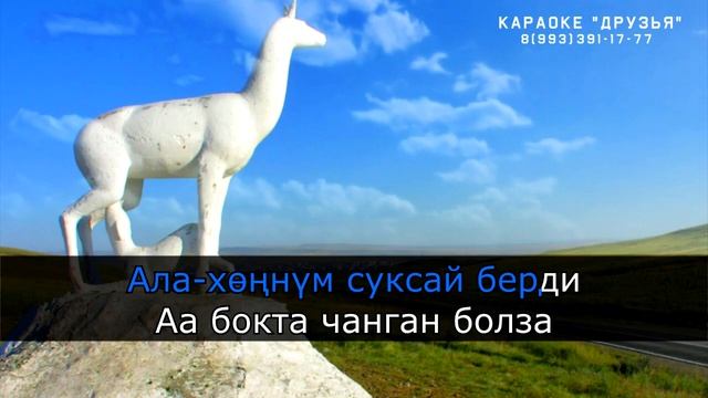 ТЫВА КАРАОКЕ - Аа бокта чанган болза - Тумен